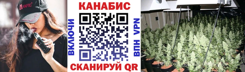 Канабис план  блэк спрут как войти  Ардон 
